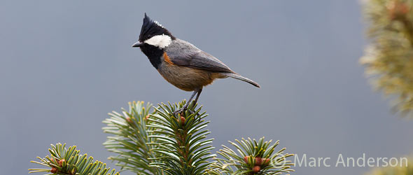 nepal_00668-2