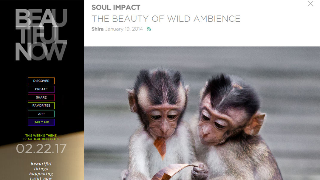 Beautiful Now Competition