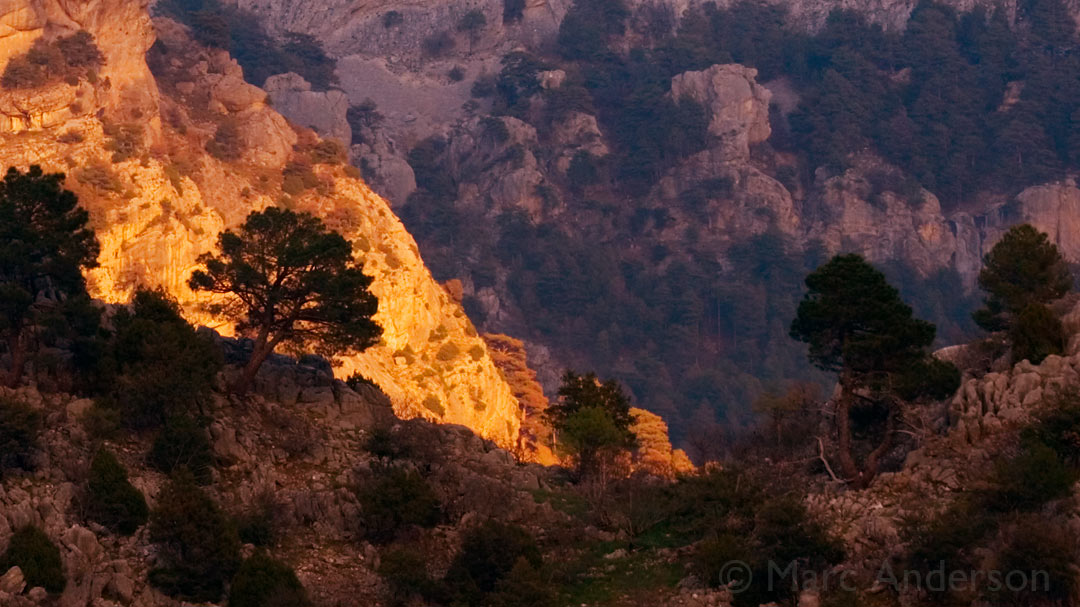 New Album: Andalucian Dawn