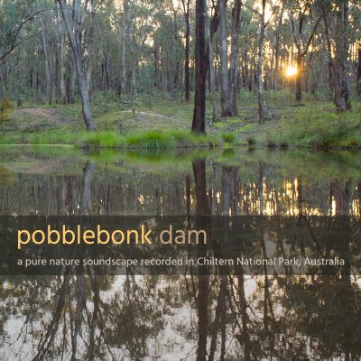 Pobblebonk Dam - Album Cover