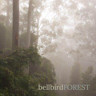 Australia: Bellbird Forest - Album Cover