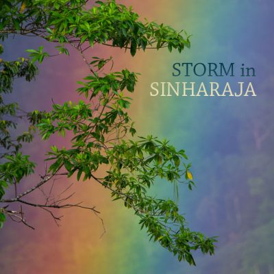 Sri Lanka: Storm in Sinharaja - Album Cover