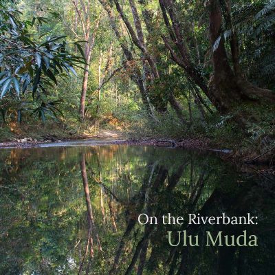 On the Riverbank: Ulu Muda - Album Cover