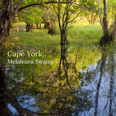 Cape York: Melaleuca Swamp - Album Cover