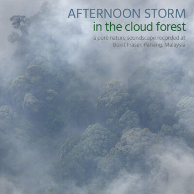 Afternoon Storm in the Cloud Forest - Album Cover
