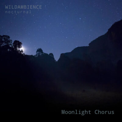 Australia: Moonlight Chorus