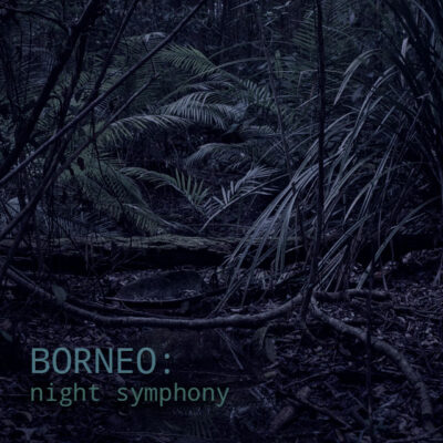 Borneo: Night Symphony - Album Cover