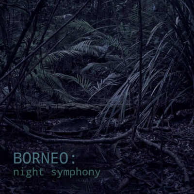 Borneo: Night Symphony - Album Cover