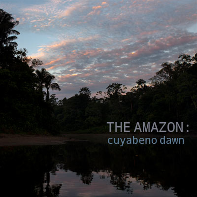 The Amazon: Cuyabeno Dawn - Album Cover