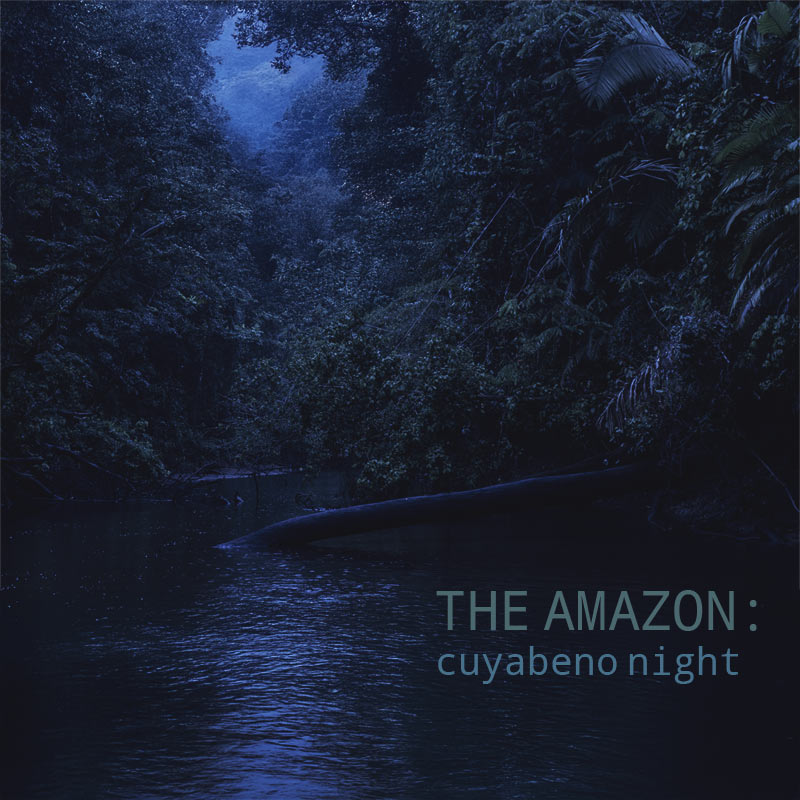 The Amazon: Cuyabeno Night - Album Cover