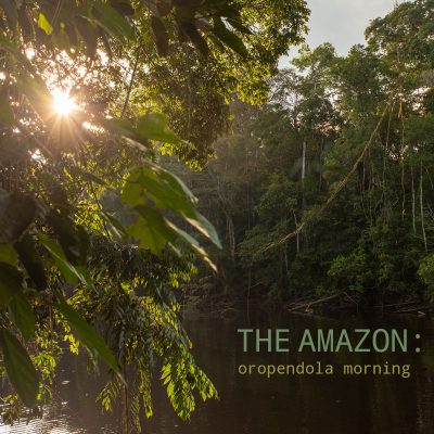 The Amazon: Oropendola Morning - Album Cover