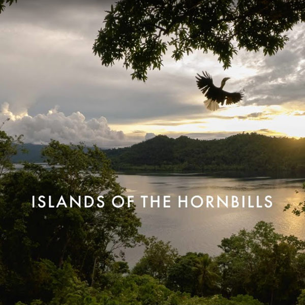 Islands of the Hornbills - Documentary by Cornell Lab of Ornithology