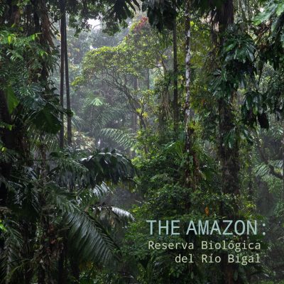 The Amazon: Río Bigal Biological Reserve