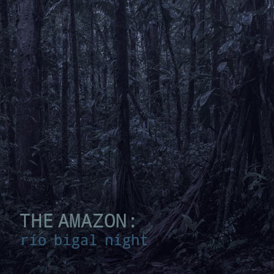 The Amazon: Rio Bigal Night - Album Cover