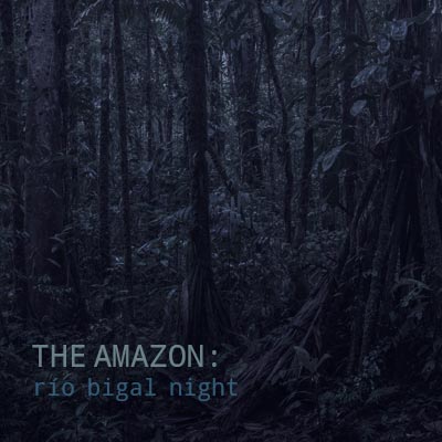 The Amazon: Rio Bigal Night - Album Cover