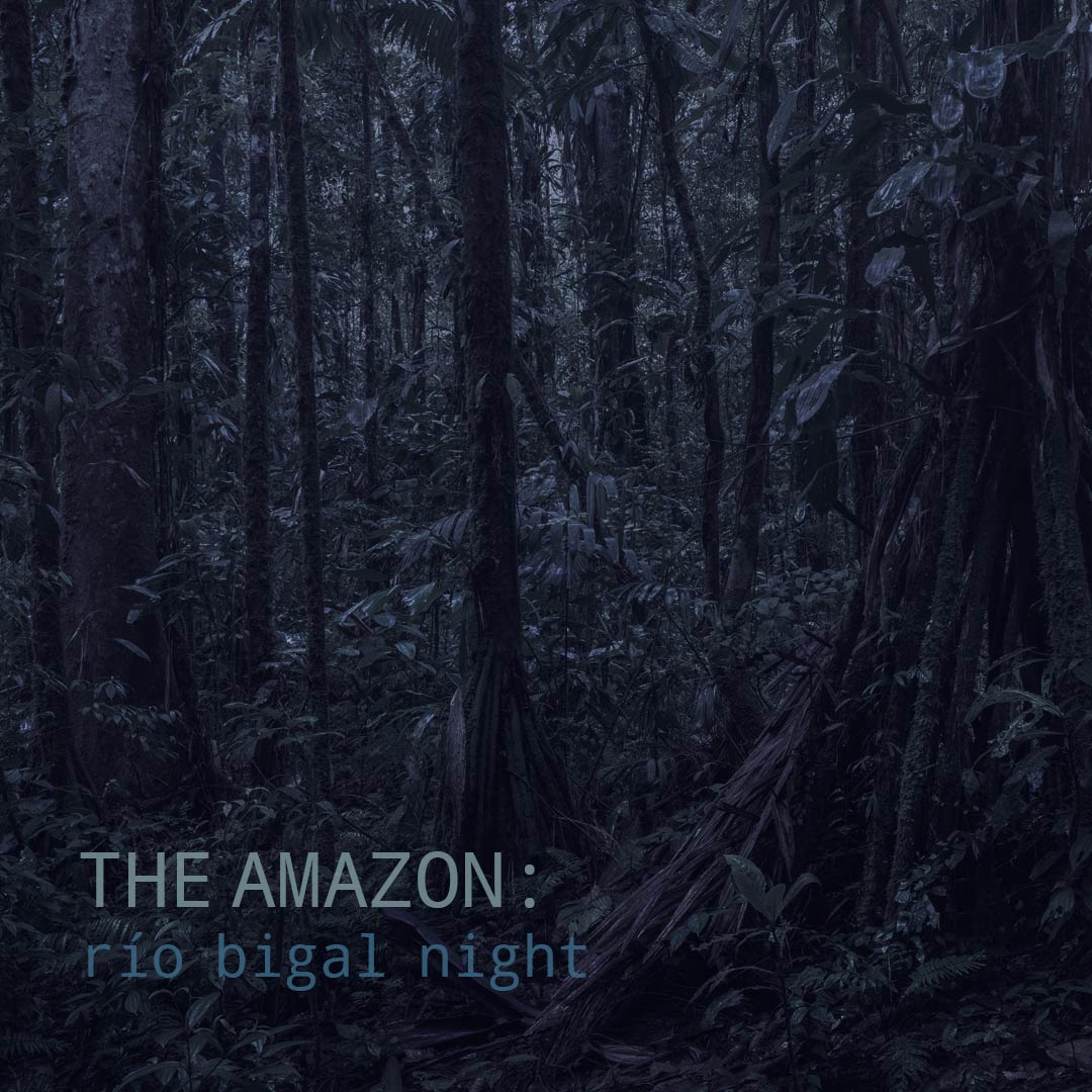 The Amazon: Rio Bigal Night - Album Cover