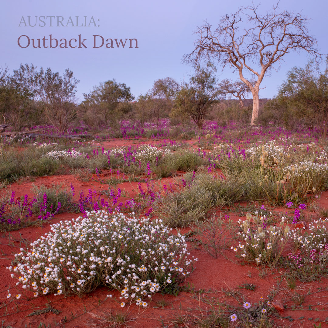 Dawn in the Australian Outback - Album Cover
