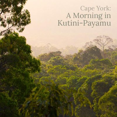 Cape York: A Morning in Kutini-Payamu - Album Cover
