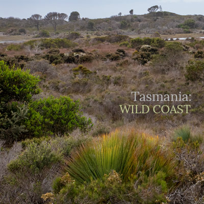 Tasmania: Wild Coast - Album Cover