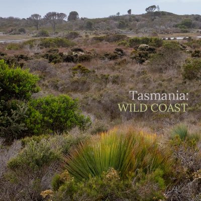 Tasmania: Wild Coast - Album Cover